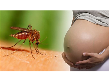 Người đầu tiên ở Bà Rịa - Vũng Tàu nhiễm virus Zika